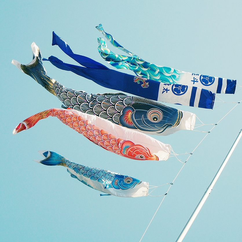 Stage d’été, "Fêtes populaires au Japon", du 26 au 30 août 2019 à Soignies : réalisation de poissons en papier, appelées Koïnobori