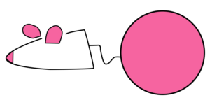 Les Ateliers de l'escalier - Centre d'Expression et de Créativité à Soignies